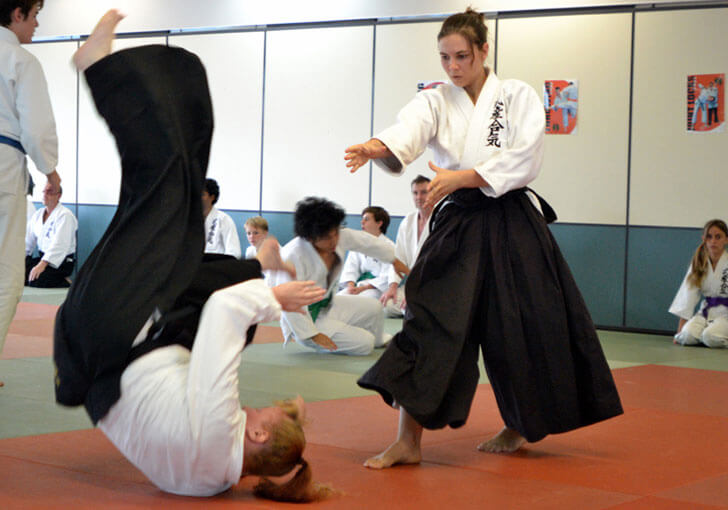 Takemusu Aikido Technique