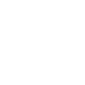 Takemusu Aikido flower symbol